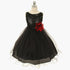Mesh Paggy Dress